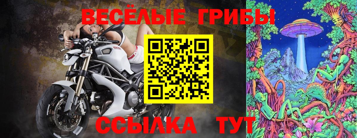 Карпинск  Галлюциногенные грибы GOLDEN TEACHER  Вход с VPN 