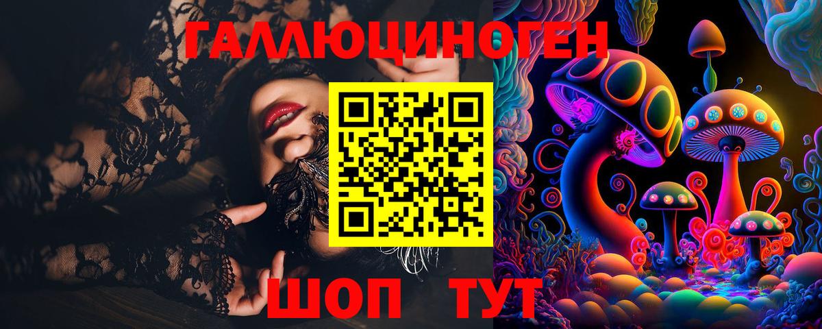 Галлюциногенные грибы Psilocybine cubensis Карпинск